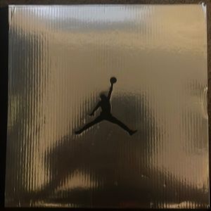 Jordan 6 chrome metallic